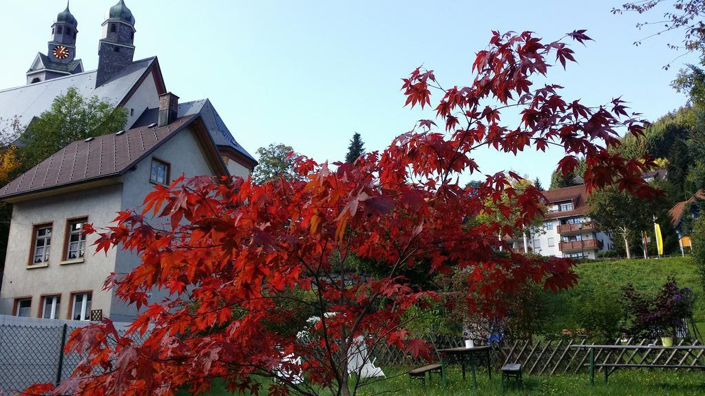 Europaeisches Gaeste- Und Seminarhaus 托特莫斯 外观 照片
